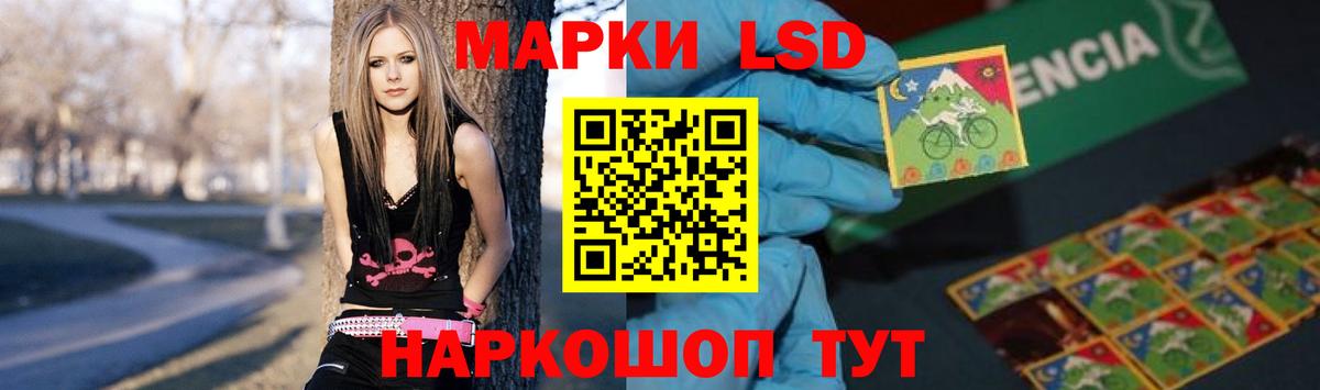 Бошки Шишки Туапсе