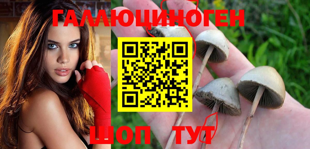 Псилоцибиновые грибы ЛСД Туапсе